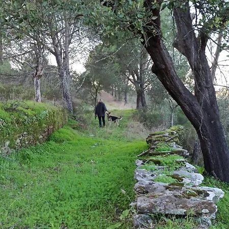 Russa Al Villa Lentiscais Exterior photo